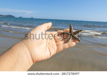 Picking Up Starfish While Beachcombing