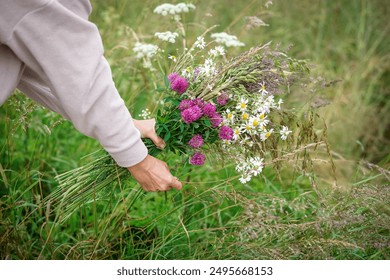 Picking wild flowers in the fields