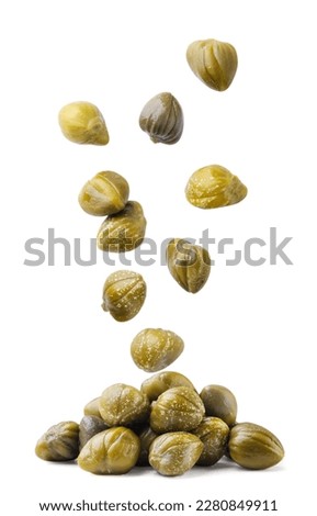 Pickled capers fall on a pile close-up on a white background. Isolated