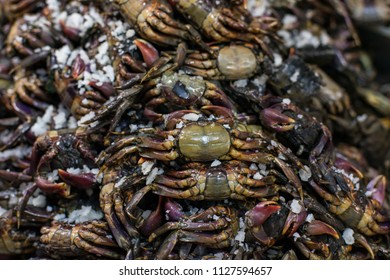 Pickled Crab Salt Stock Photo 1127594657 | Shutterstock