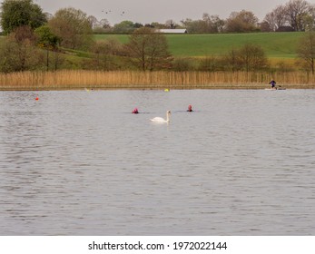 Pickmere Lake, Pickmere, Knutsford, Cheshire, UK. 24th April 2021. Open Water Swimmer Group Taking Part In Organised Open Water Swimming Training, Pickmere, Knutsford, Cheshire, Uk