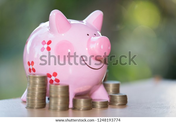 Picky bank and coin, for invest money, Ideas for\
saving money for future\
use.