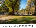 Picnic area by the lake. A small lake in the middle of a pine tree forest.