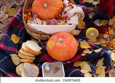 Picnic in autumn park with pumpkins, tea and bacon sandwiches.
