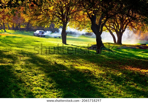 Picnic in the autumn . Smoke in the autumn\
nature . Colorful trees in the fall\
season