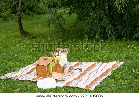 picnic basket, cozy picnic in nature, in the park, summer picnic in the countryside