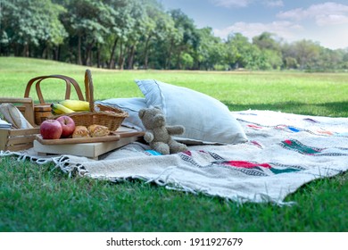 Picnic basket with fruit, bakery and teddy bear in public park, picnic cloth on green grass outside in summer park