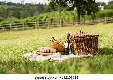 Picnic basket on grass with food and drink on blanket. Picnic lunch outdoor in a field on sunny day with bread, fruit and bottle of red wine. Pic nic on green grass with landscape in the background.