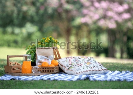 Picnic basket with oranges in the park, picnic cloth on the grass in the summer park