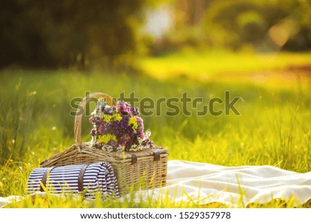 Similar – Wunderschöne Sommerszene mit Blumenstrauß der Kamille