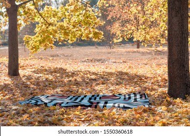 Picnic Bed In The Fall