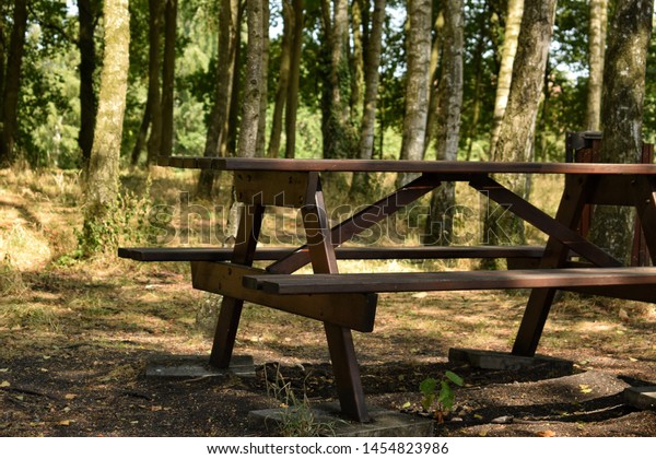 Picnic Bench Small Forest Sunny Afternoon Stock Photo Edit Now
