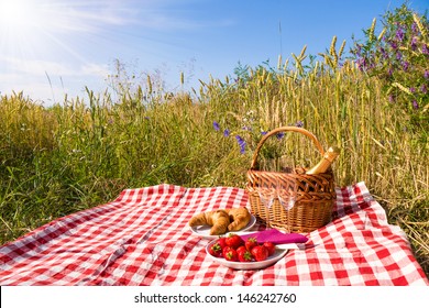 picnic blanket 