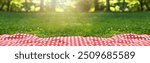 Picnic blanket on green grass during sunny day. Banner design with space for text