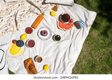 A picnic blanket spread out on the grass with various fruits, juice, and pastries. Concepts of spending summer time in garden or backyard, top view