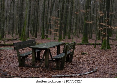 Picnic Board In The Forest, Halland, Sweden. Wooden Table In The Middle Of The Winter Forest, Halland Sweden. No People. Safe Meetings In The Air. Keeping Distance. Fresh Air. Atmosphere.