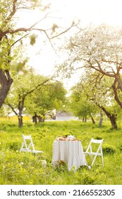 picnic with decorated table with croissants, fruits and drinks in beautiful blossom spring green park, romantic date table food setting for two.