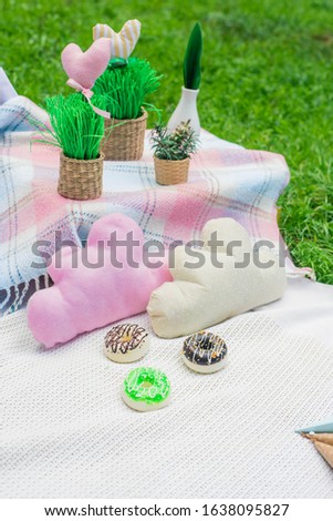 Picnic decorations, cannotier, flowers, fruits. tablecloth, basket, healthy food and accessories, top view, bread, baguette, alcohol, big lollipops. Cakes, sweets. Happy holidays friends concept.