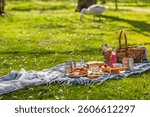 Picnic duvet and basket with different food, fruits, cake and pretzels on green grass in a park