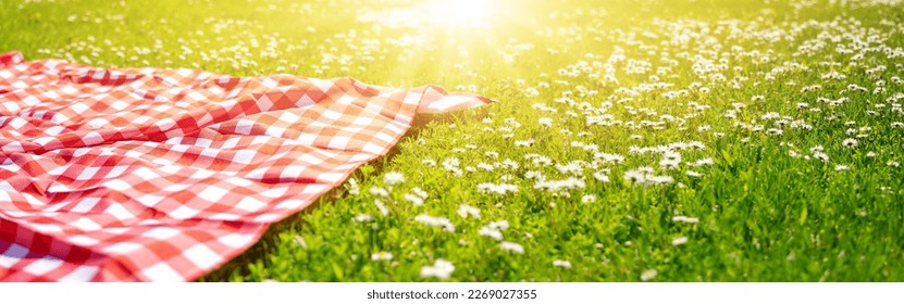 Picnic duvet on the meadow with green grass and spring flowers - Powered by Shutterstock