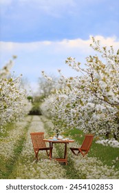 Picnic al aire libre