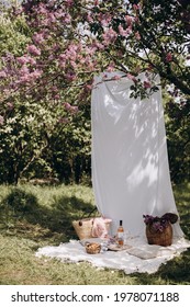 picnic in the garden or park. a place for a summer picnic. picnic photo zone. a bottle of rose wine and transparent glasses on a picnic blanket. white cloth hanging on a tree