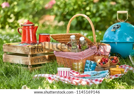Picnic hamper and BBQ in the shade of a tree in a lush green garden with fresh berries, bread, soft drinks and colorful red enamel coffee can on a checkered tablecloth
