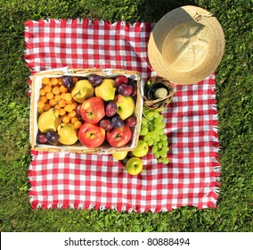 Picnic At Meadow, Top View