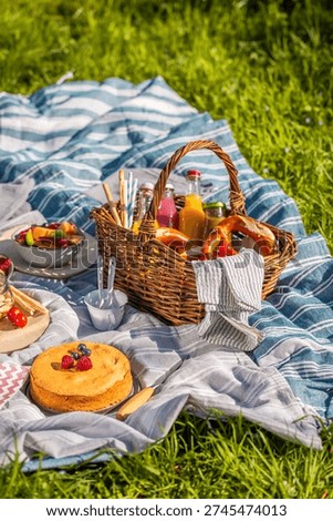 Picnic in a park with assorted snacks, cake, vegetables and pretzels