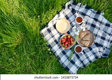 Picnic in the Park on the green grass with berry, cookies, tea.  Picnic blanket. Summer holiday
