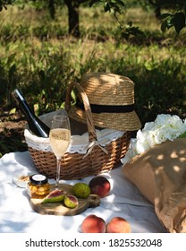 Picnic In The Park. Romantic Picnic With Food And Wine