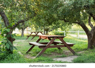 Picnic place in Orchard at backyard. Wooden picnic table with benches on beautiful grass lawn in quiet place. Bench. Beautiful picnic area with wooden table in summer garden. Resting place on park. 