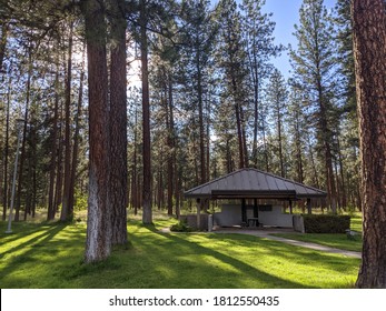 Picnic Shelter In Ponderosa Pine Forest