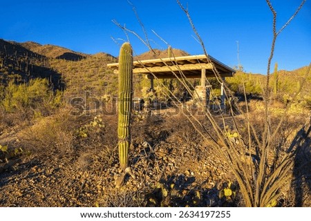 Picnic shelter surrounded by cacti and desert terrain at Mam-A-Gah area along the King Canyon Trail in Saguaro National Park, Arizona.