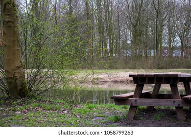 Picnic Table Bench in the Forest Nature Grass Trees Water - Shutterstock ID 1058799263
