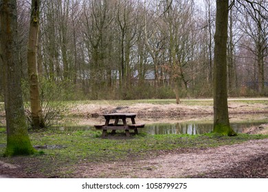 Picnic Table Bench in the Forest Nature Grass Trees Water - Shutterstock ID 1058799275