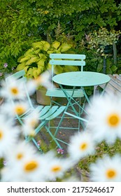 Picnic table and chairs in a lush garden at a peaceful park or tranquil courtyard surrounded by daisy flowers outdoors. Relaxing, calm and soothing environment to enjoy a quiet and pleasant break
