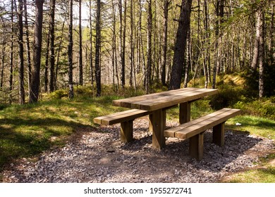 A Picnic Table In The Dappled Light From The Surrounding Pinewoods In Glen Affric, Scotland. 