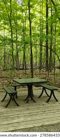Picnic table in the firest