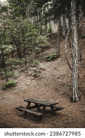picnic table at the forest