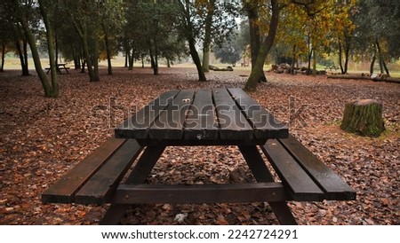 Picnic table in the forest in autumn season ,place to relax