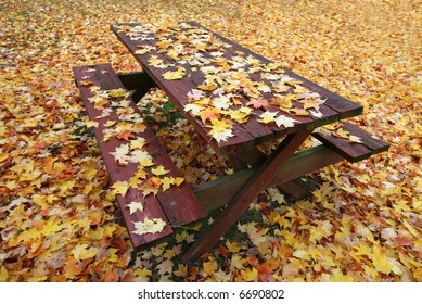 picnic table and ground covered in leaves