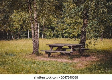 Picnic Table Made Of Weathered Wood On A Green Meadow With Two Birches. Symbol Of Summer And Barbecue Leisure Activity.  Toned Image. 