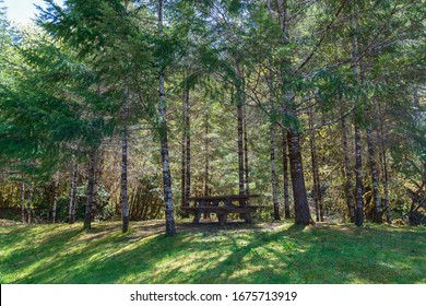 A picnic table near the Rogue River in the Siskiyou National Forest, Oregon, USA - Shutterstock ID 1675713919
