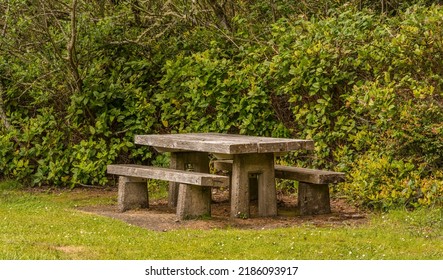 Picnic table photographed in spring at Fogarty Creek State Recreation Area, Lincoln County, Oregon, near Depoe Bay. Native salal shrubs (Gaultheria shallon) are prominent in the background.
