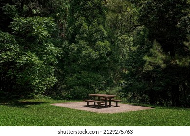 Picnic table and seating in a tropical national park surrounded by tall lush trees.