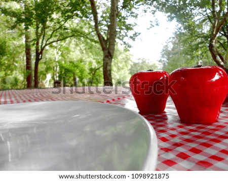 Picnic Table Setting