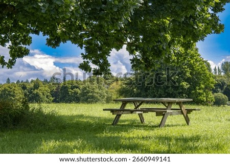 Picnic table under oak tree at Lough Key Forest Park, County Roscommon, Ireland, shaded by thick branches and surrounded by green meadow and summer foliage beneath a blue sky.