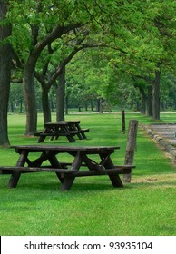 Picnic tables amongst greenery.