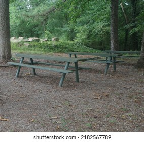 Picnic Tables Outside at a Park